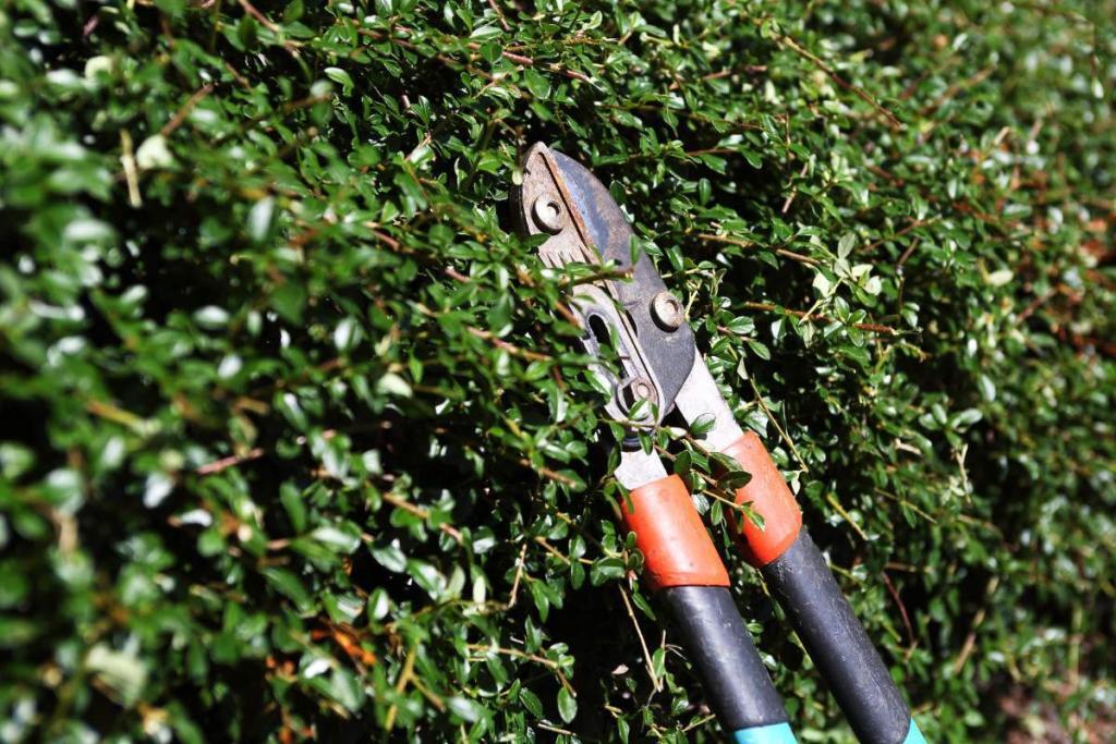 Divers travaux d'entretien